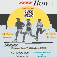 amaca_run_2026-1-1